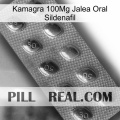 Kamagra 100Mg Oral Jelly Sildenafil viagra3